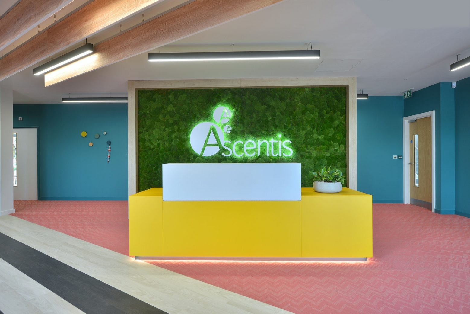 Ascentis' Office by Opus